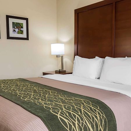 Comfort Inn - Pocono Mountains White Haven Eksteriør billede