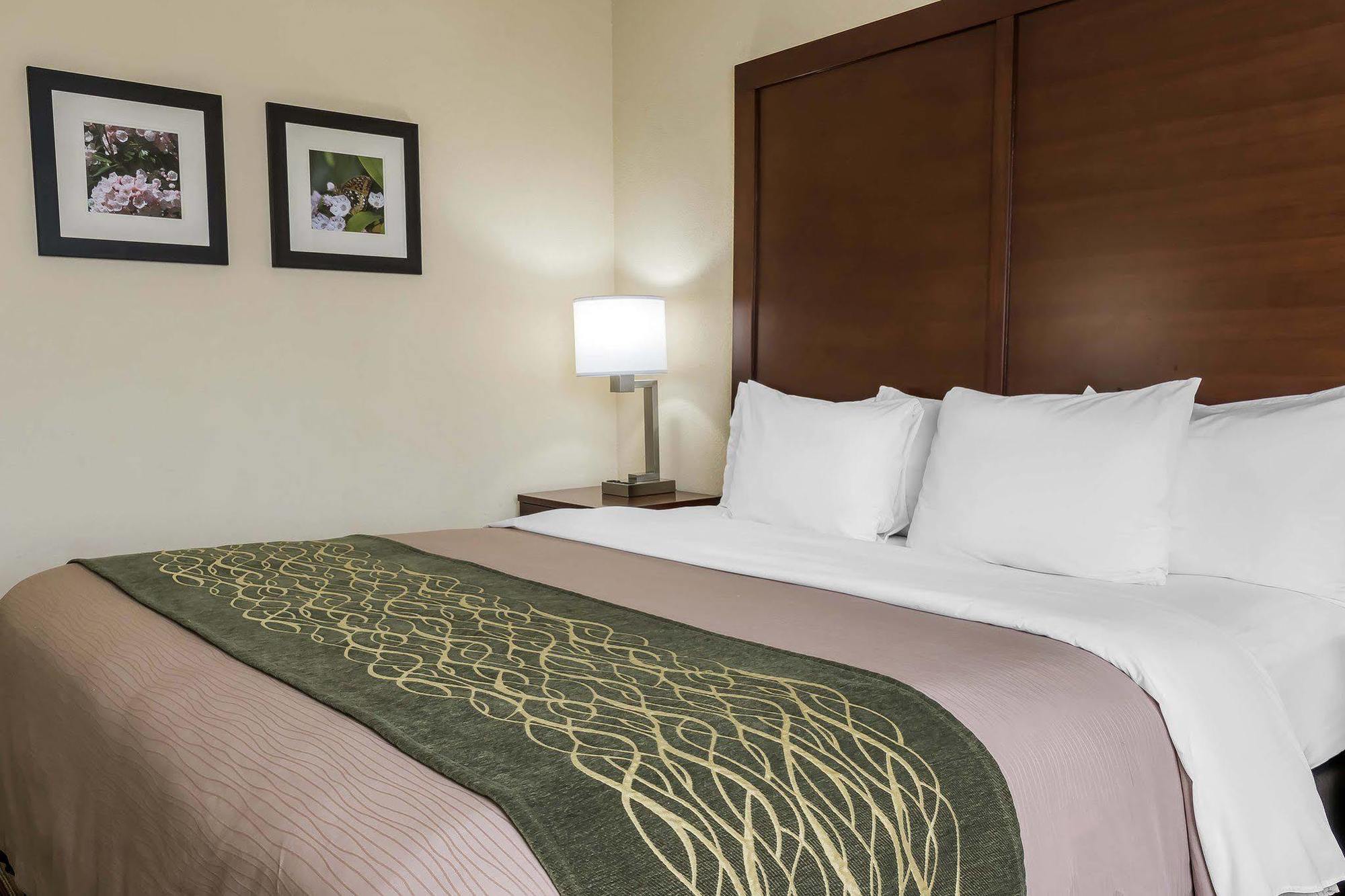 Comfort Inn - Pocono Mountains White Haven Eksteriør billede